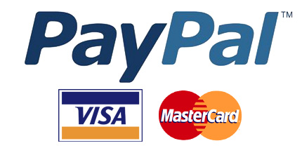 PayPal Graphic